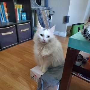 Meet your Posher, Sandra